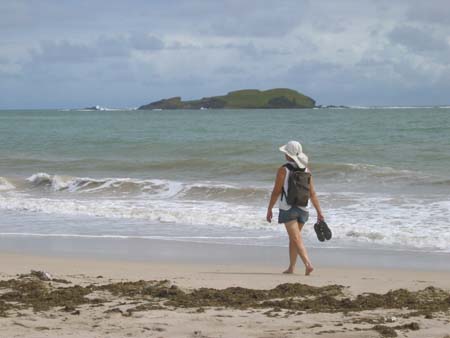 Susie on the walk to the Vieux Fort airport