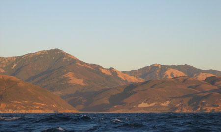 Golden Hills of California