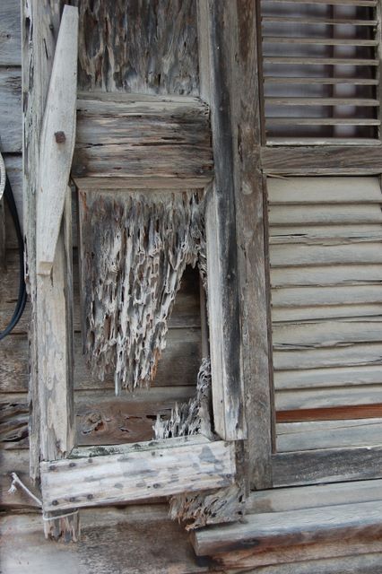window eaten by termites
