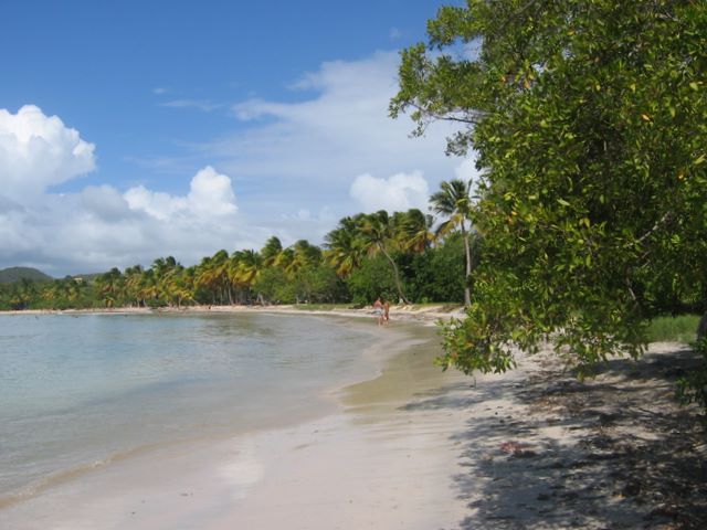 Saline Beach, Martinique