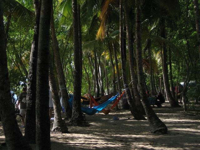 Hammocks on Saline Beach, Martinique 