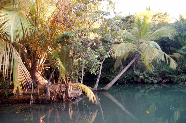 Indian River, Dominica