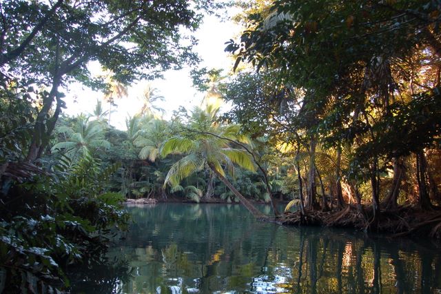 Indian River, Dominica