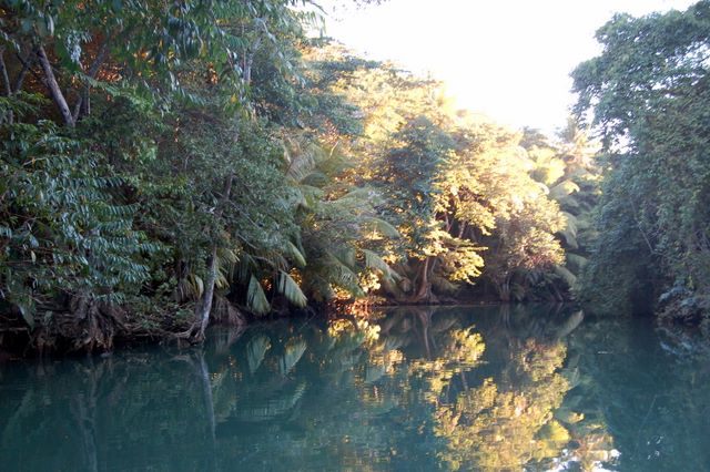 Indian River, Dominica