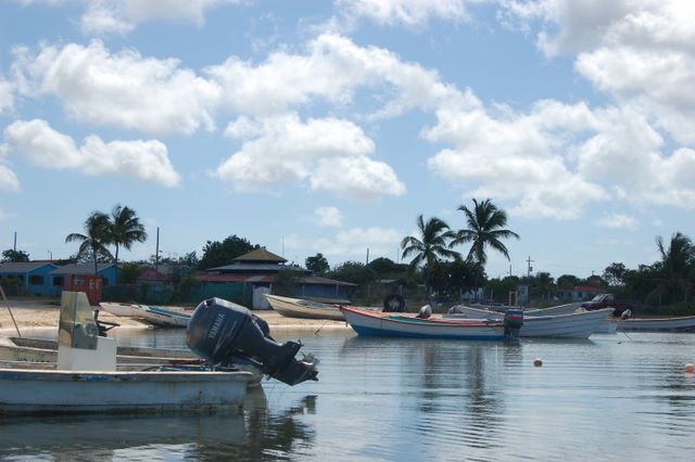 Codrington, Barbuda