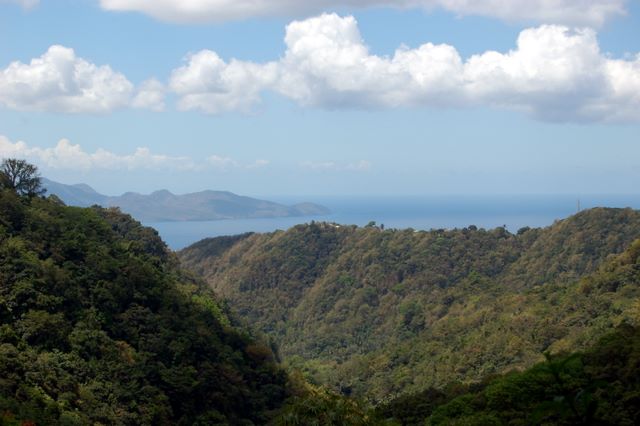 View of Martinique from the Jardin de Balata