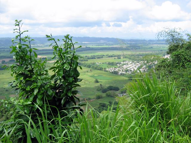 The road back to Mayaguez, Puerto Rico