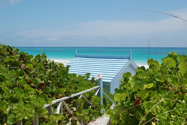 Seagrape, conch and beach building in Harbor Island, Bahamas