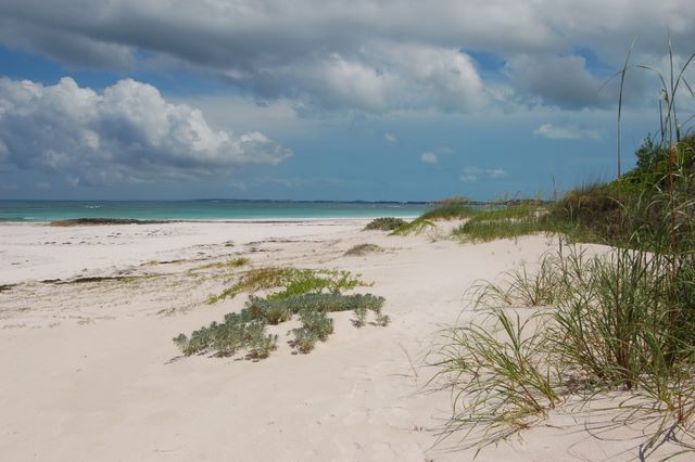 Pink sand beach, Harbor Island, Bahamas