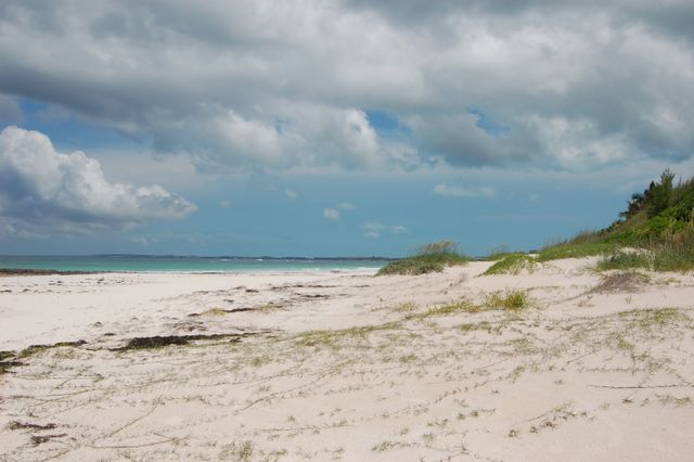 Pink sand beach, Harbor Island, Bahamas