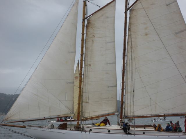 S/V Yankee