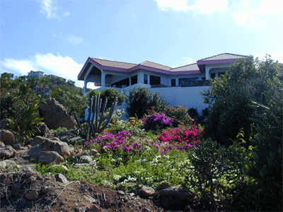 Garden at Leverick Bay