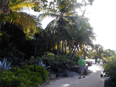 Beachfront at BEYC, Virgin Gorda, BVI