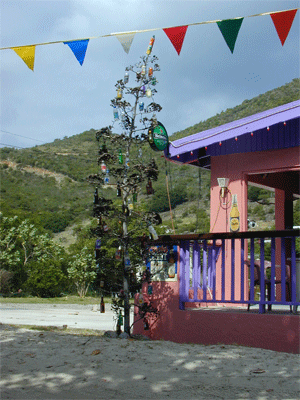 Beer Bottle Christmas Tree, Jost van Dyke