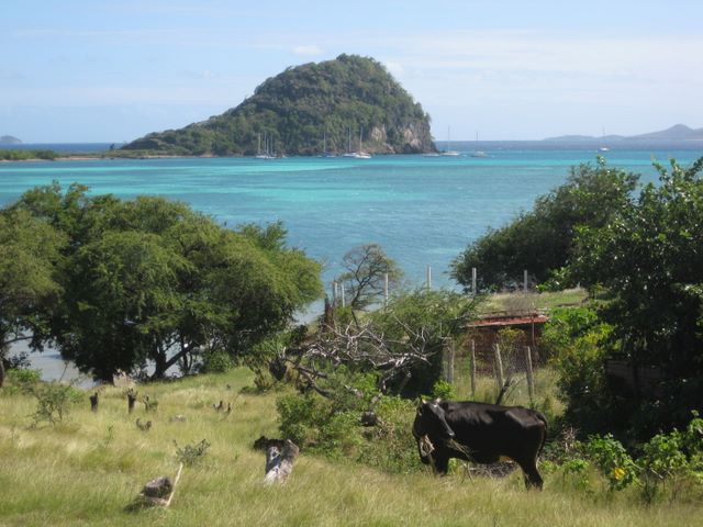 Anchorage at Frigate Rock, Union Island, SVG