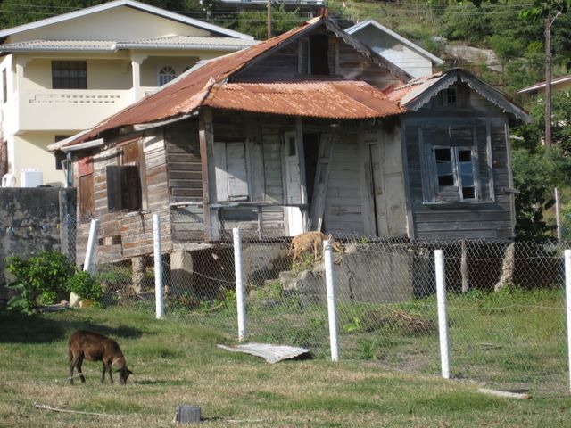 Building in Ashton, Union Island