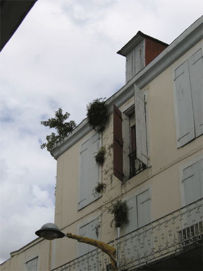 Building in Pointe a Pitre, Guadaloupe