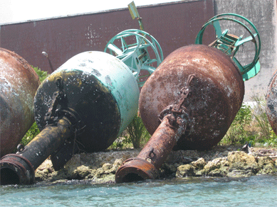 Navigation bouys, Pointe a Pitre, Guadaloupe