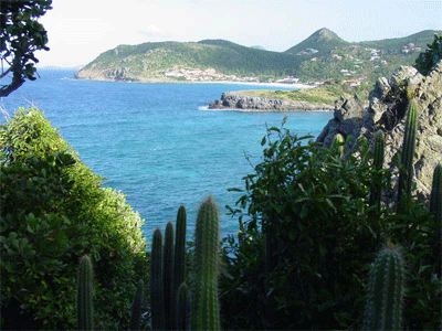 Further along our lovely walk from the Anse Columbier anchorage