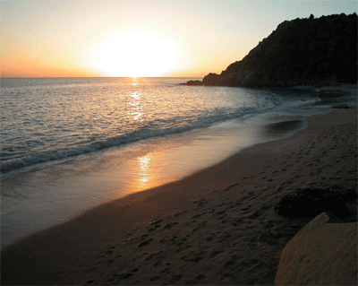 Shell beach, a short walk from Gustavia, St. Barths