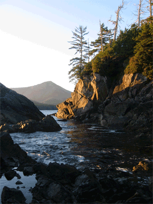 Hot Springs at Hot Springs Cove 