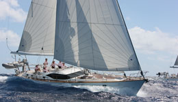 Oyster Regatta with Astahaya