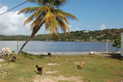 Salt Pond Anguilla