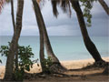 Saline Beach, Martinique