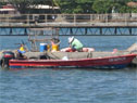 Butchering fish in St. Vincent