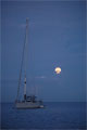 Moonrise, Young Island Cut, SVG