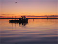 Chesapeake Bay Waterman