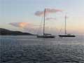 Neighbors at Pigeon Island, Guadeloupe