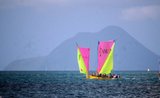 Yoles racing in Martinique