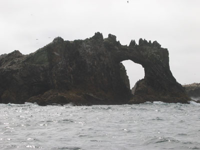 Farallon Islands